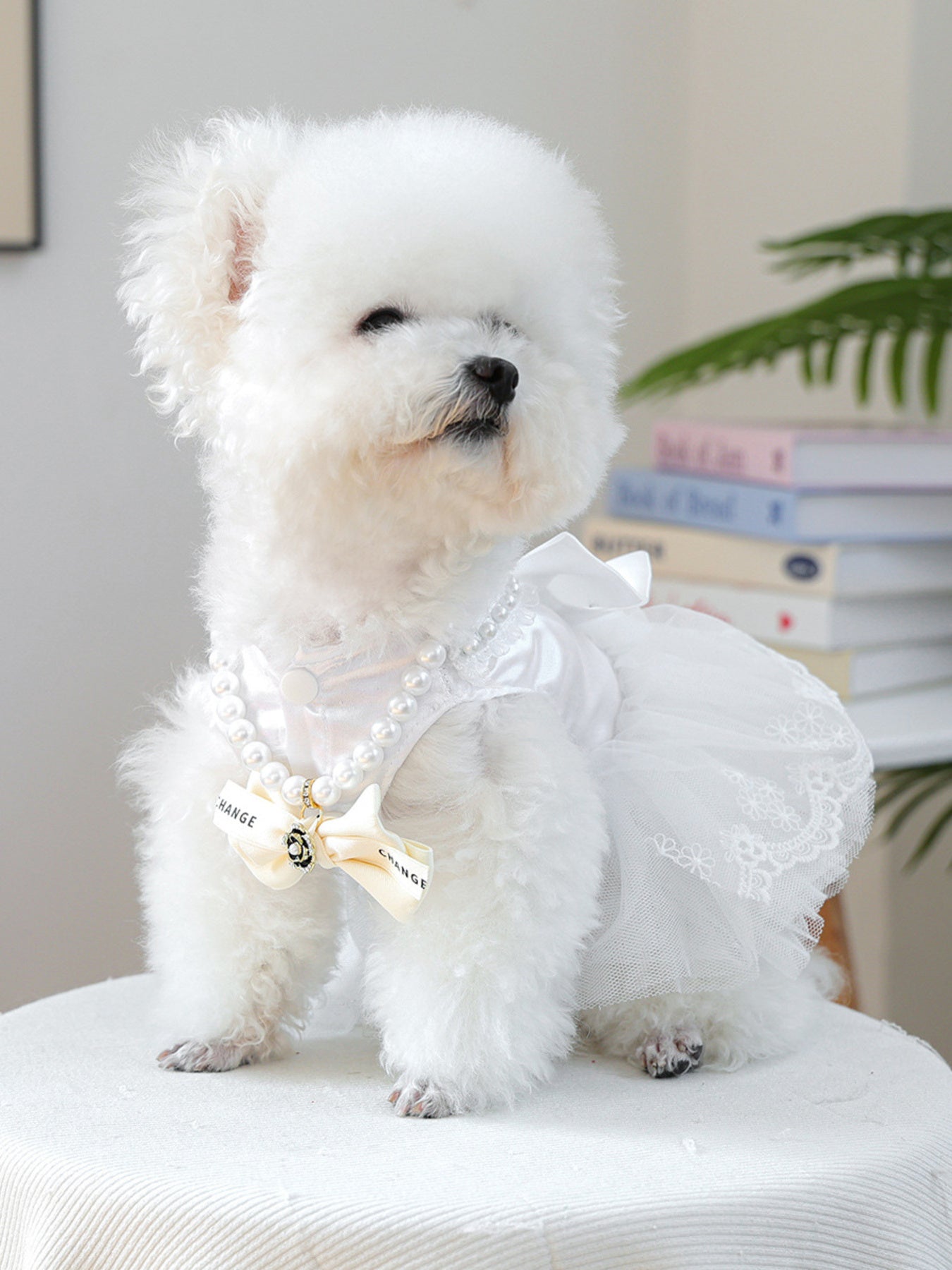 Pearl Bowknot Pet Necklace - Loving It Shop