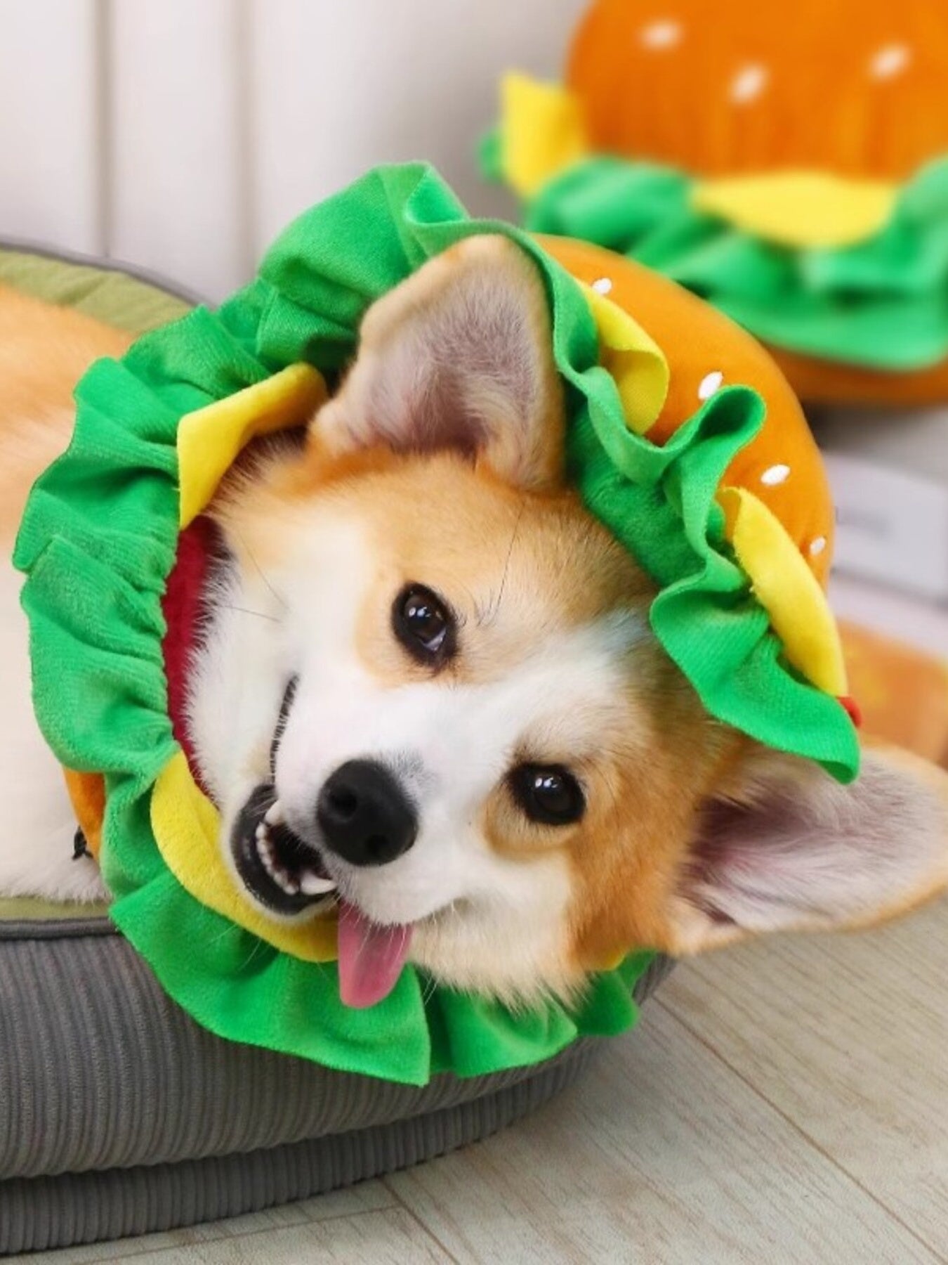 Hamburger Style Pet Headwear - Loving It Shop