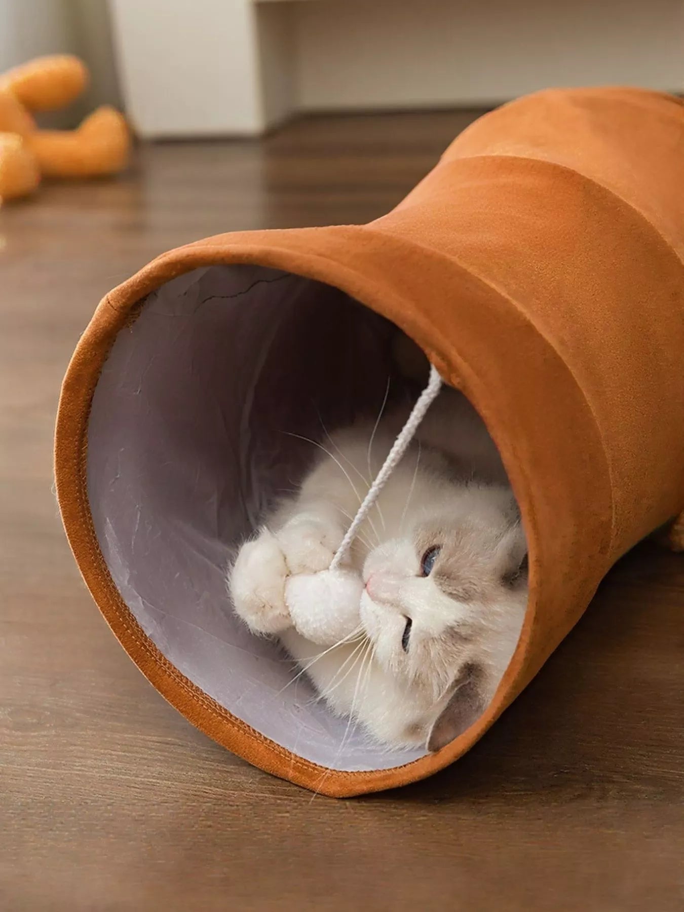 Foldable Cat Tunnel Toy - Loving It Shop