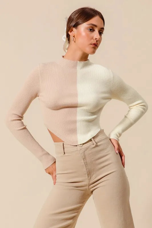 Color Block Fitted Crop Sweater Top