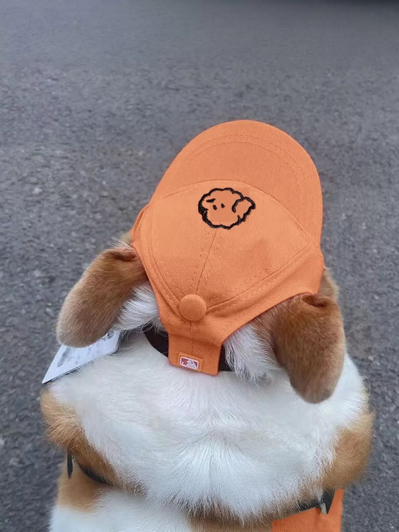 Embroidered Pet Baseball Cap - Loving It Shop