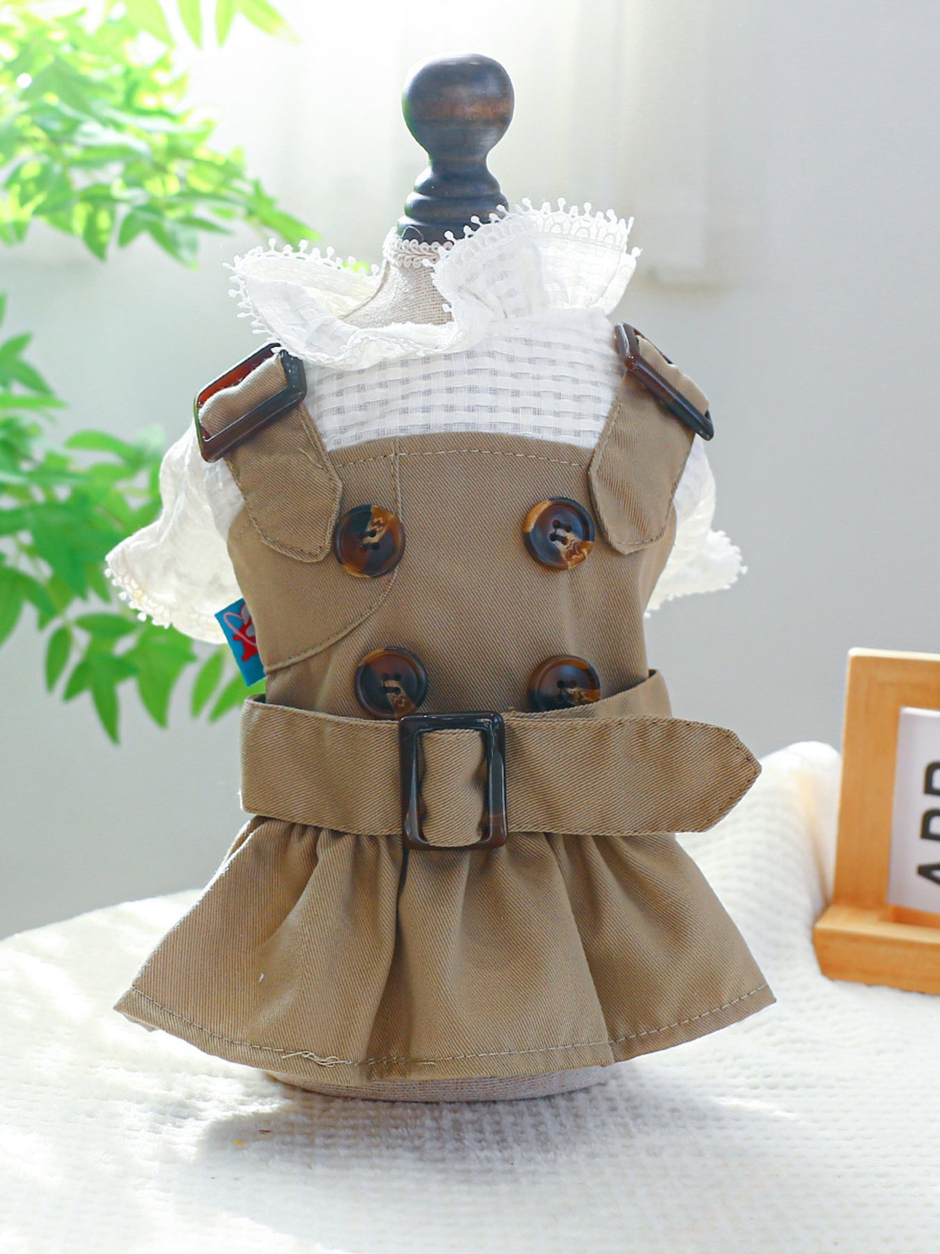 Buckle Pet Trench Coat - Loving It Shop