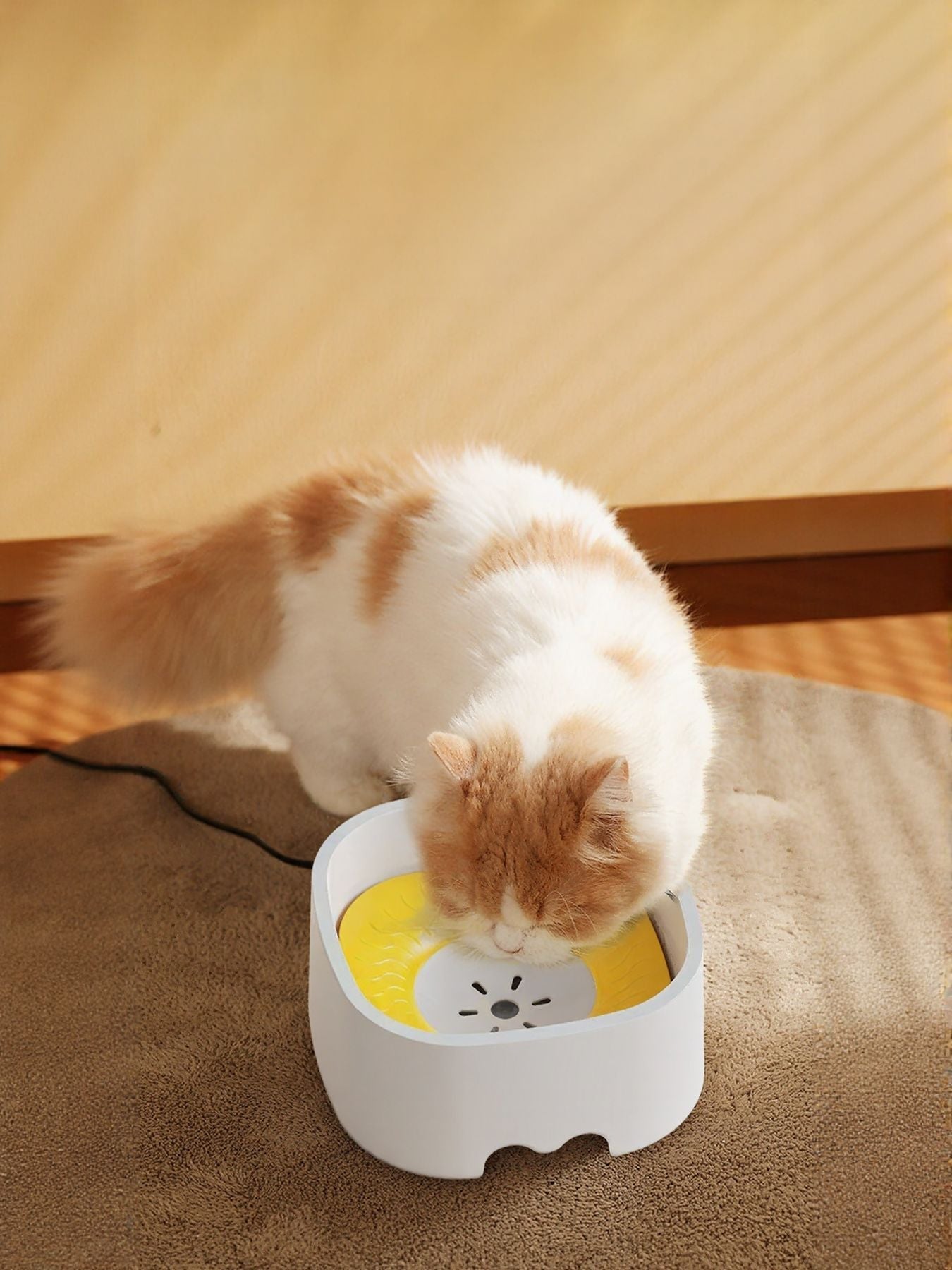 Automatic Circulating Filtered Pet Water Fountain Bowl - Loving It Shop
