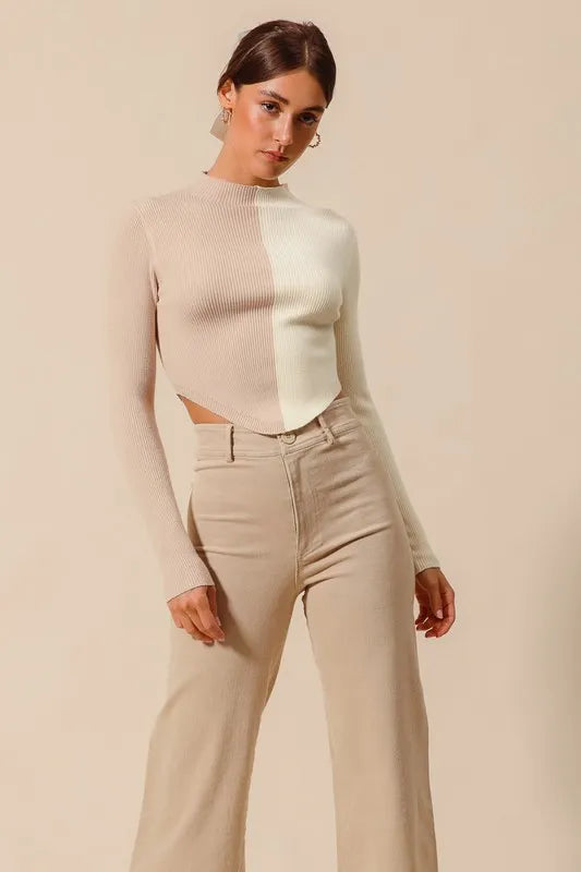 Color Block Fitted Crop Sweater Top