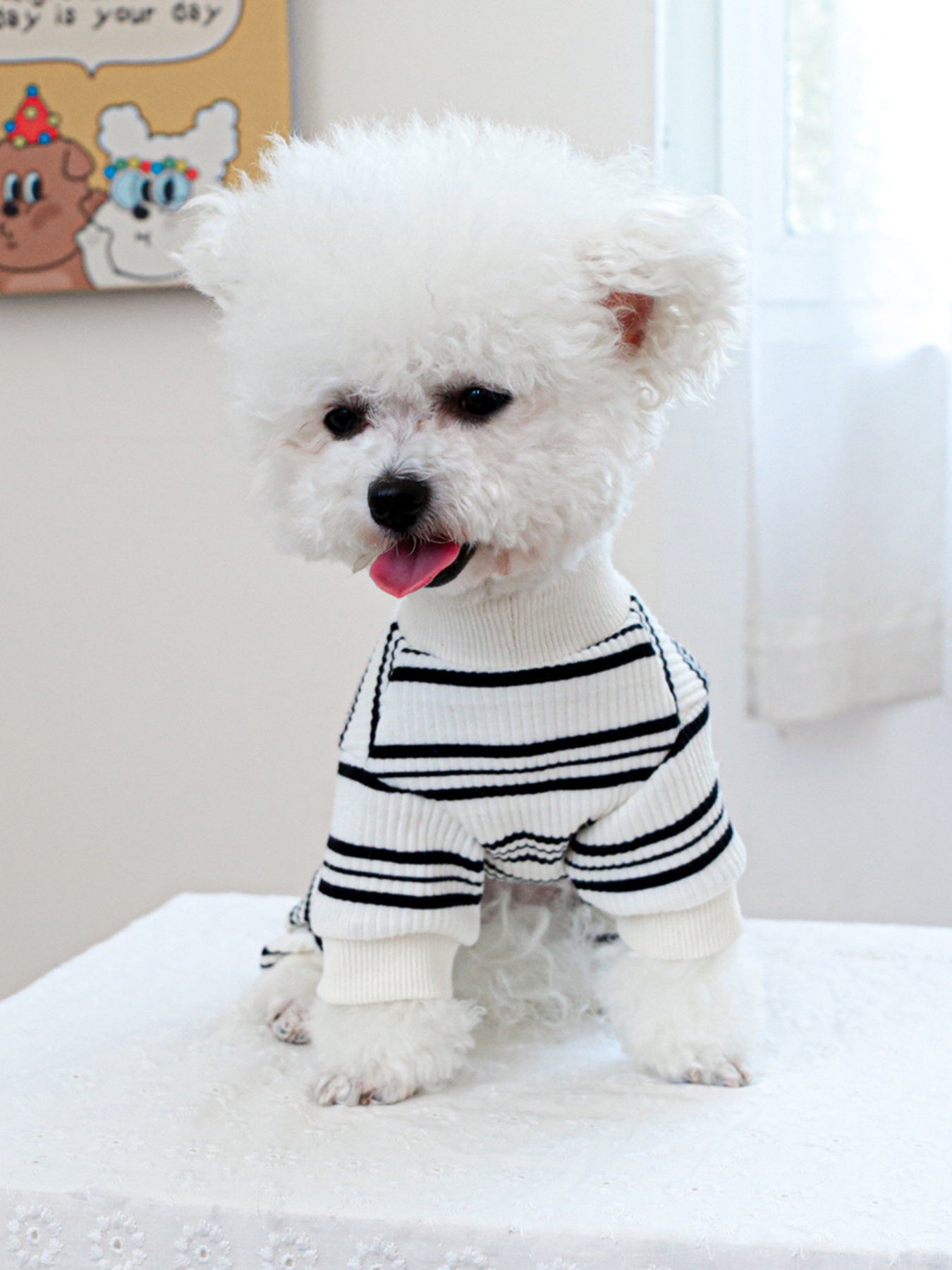 Breathable Knitted Pet Jumpsuits - Loving It Shop