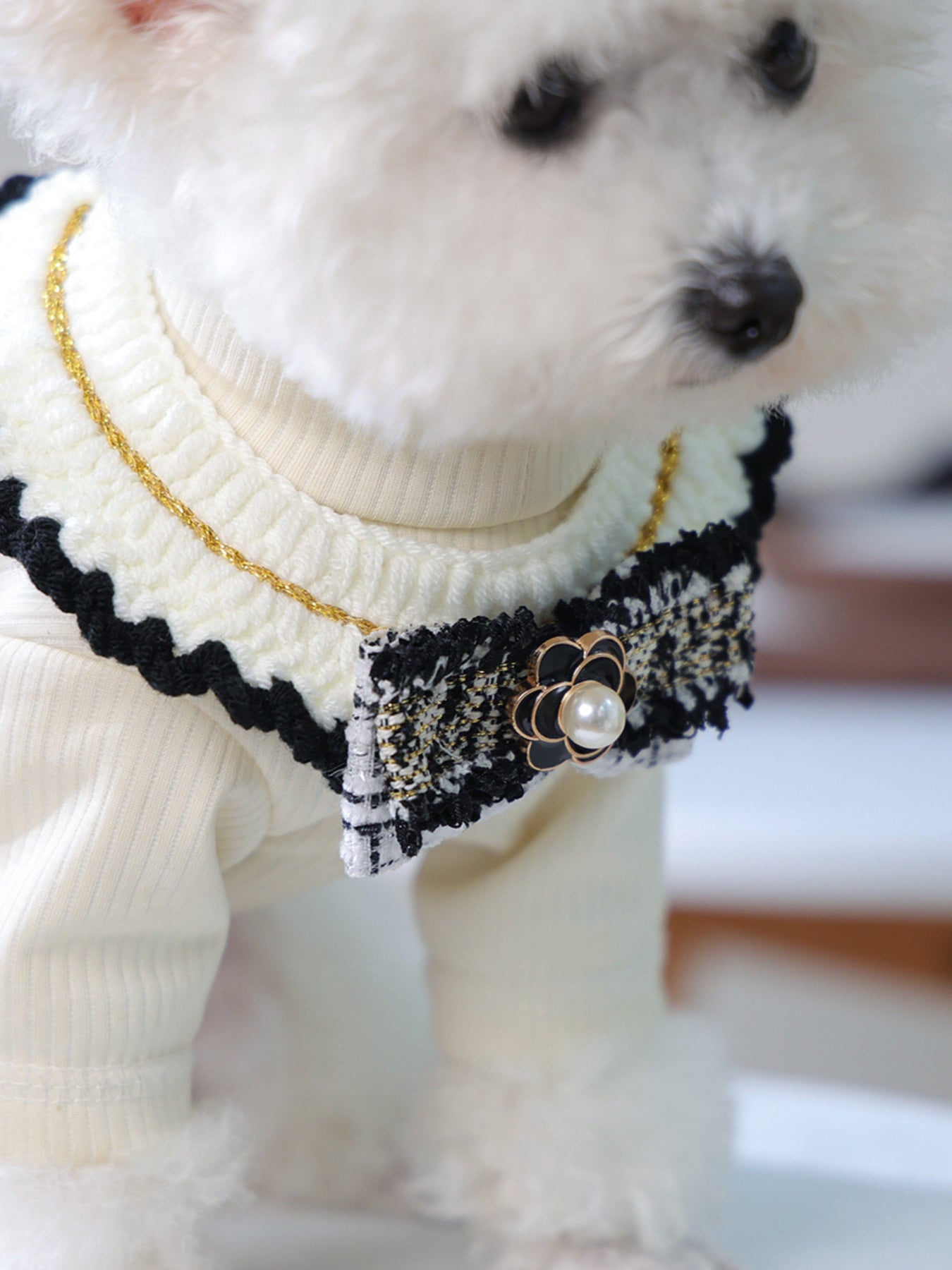Contrast Pet Scarf - Loving It Shop