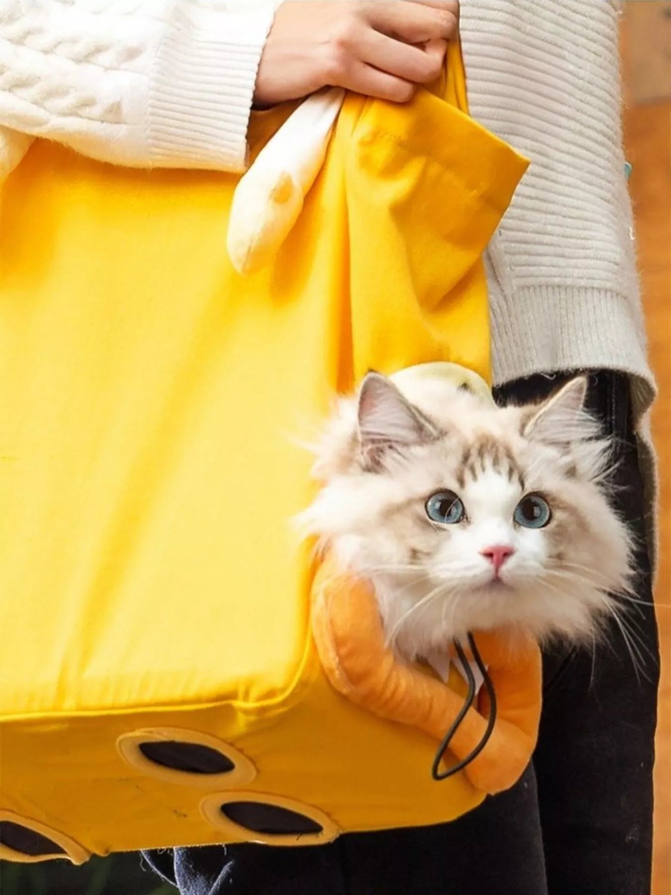 Portable Breathable Pet Bag - Loving It Shop