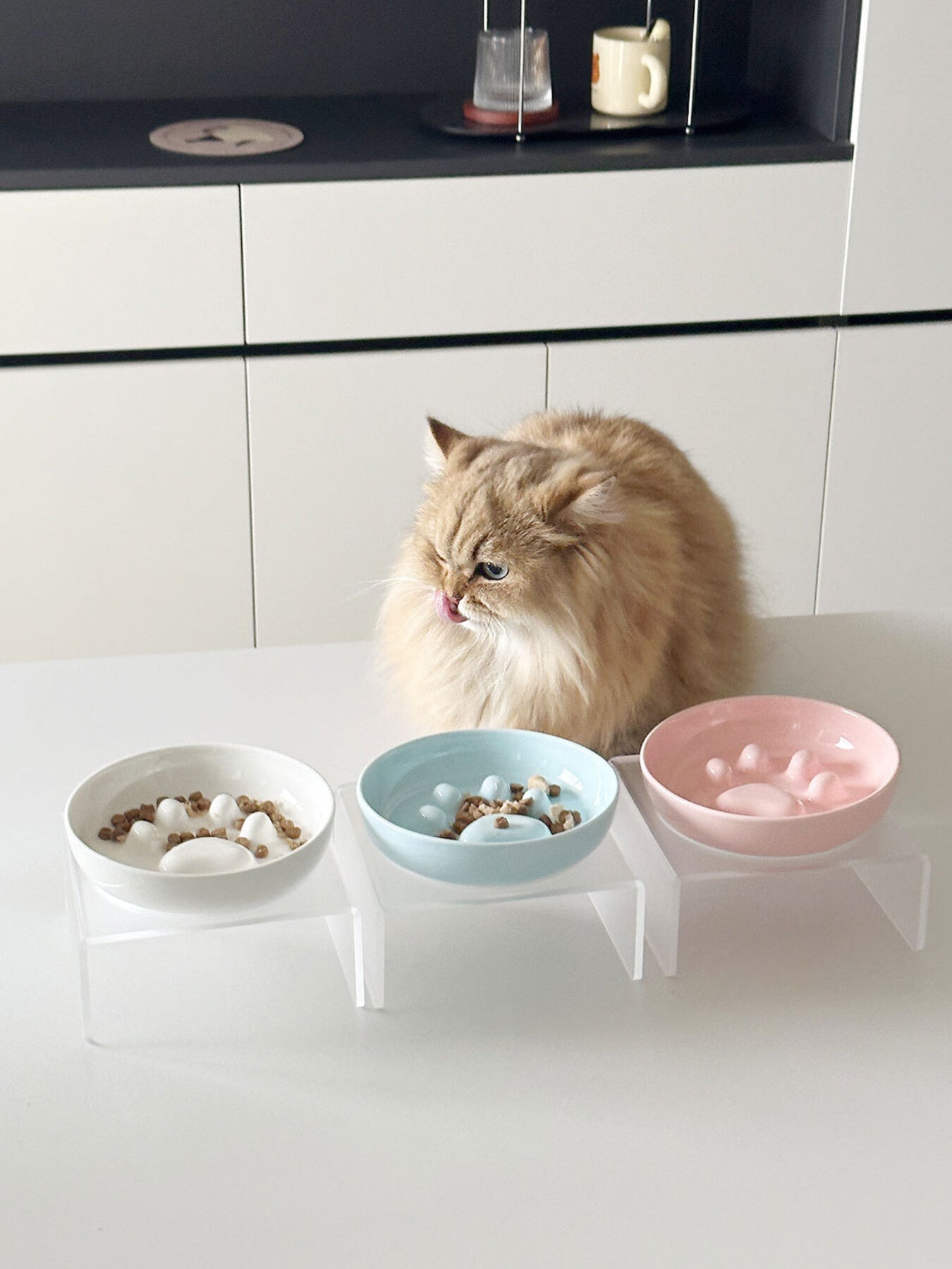 Elevated Slow Feeder Pet Bowls - Loving It Shop