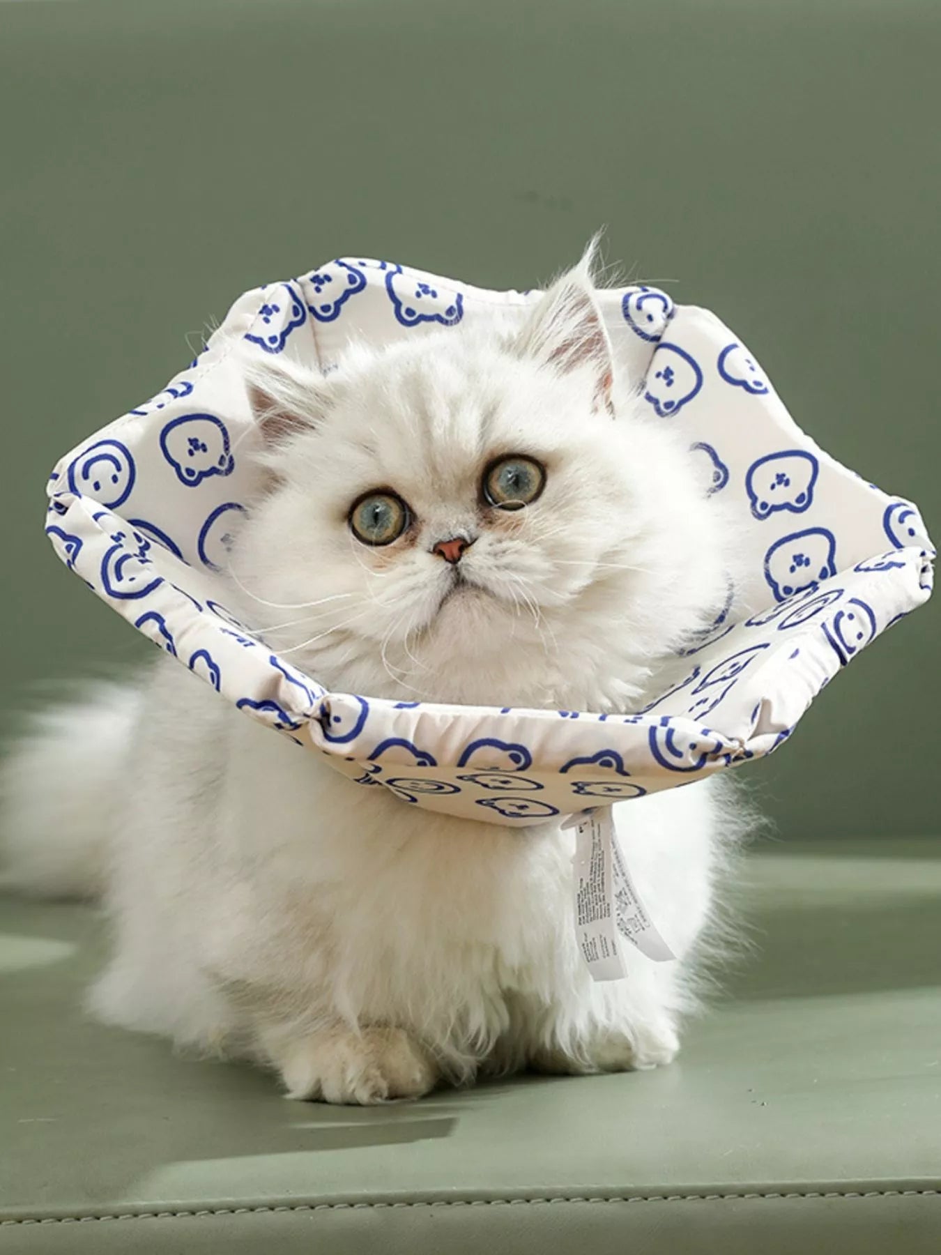 Cute Cartoon Pattern Pet Collar - Loving It Shop