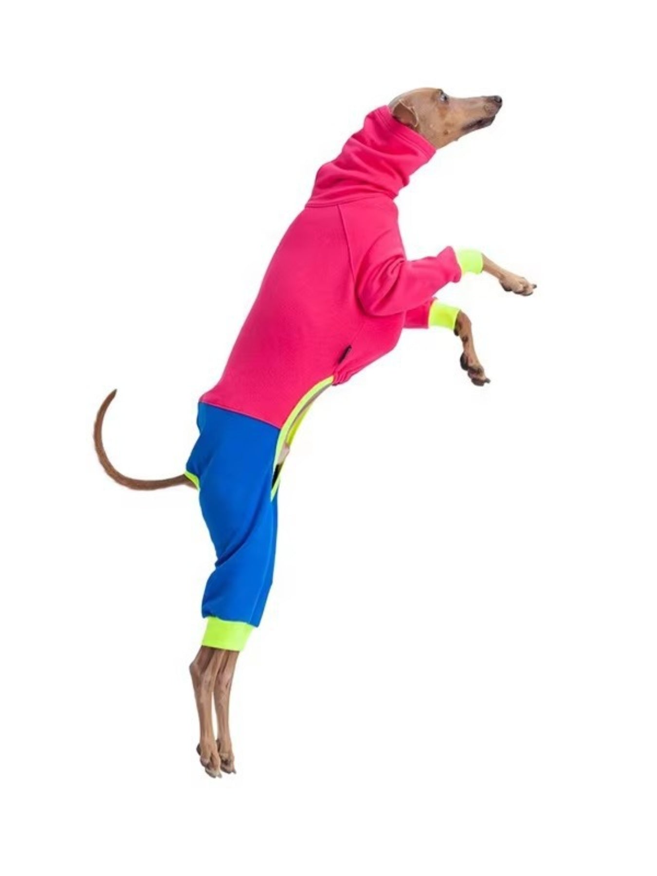 Full Size Color Block Turtleneck Pet Jumpsuits Plus Size - Loving It Shop