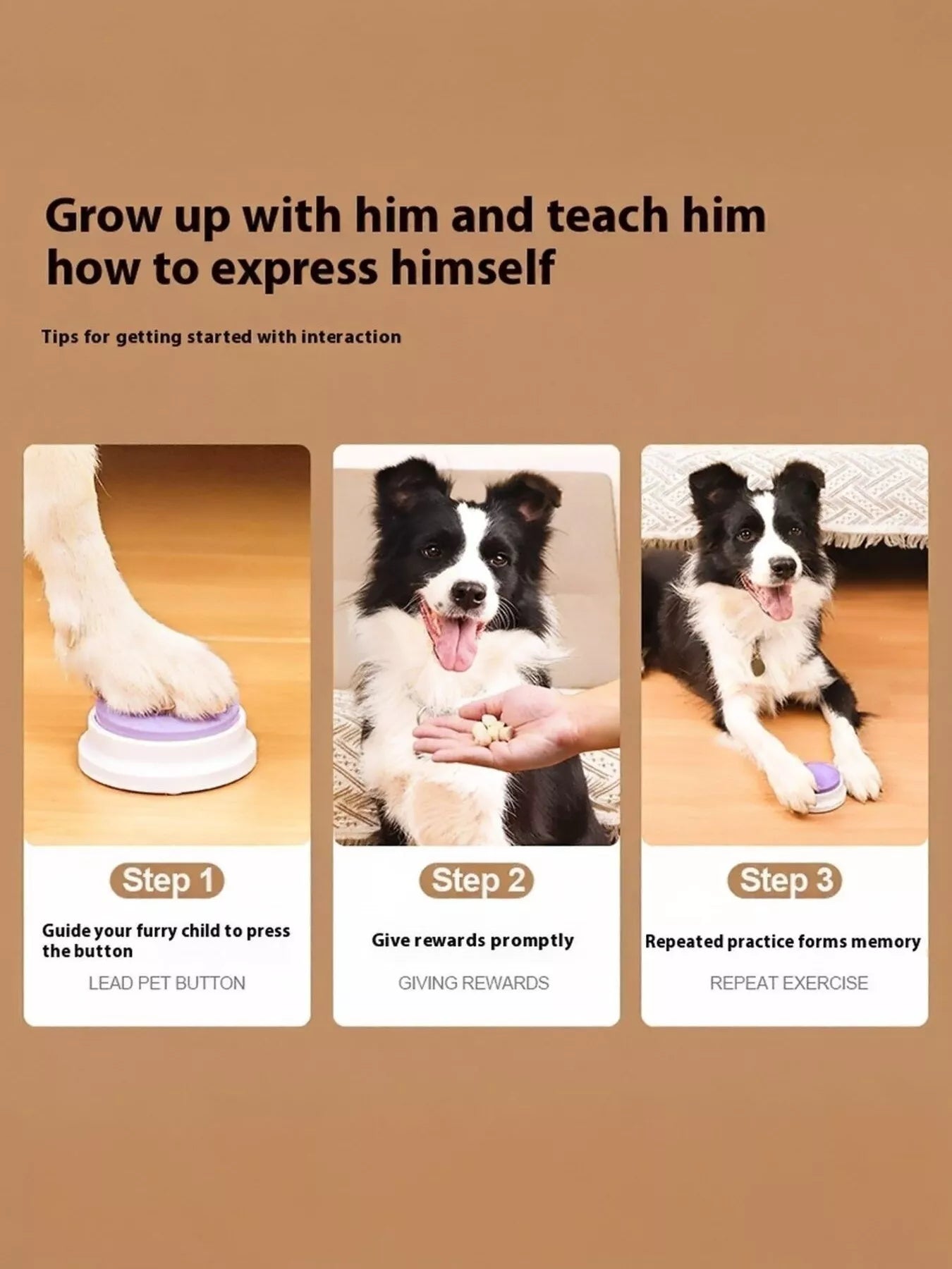 Recordable Talking Pet Sound Buttons - Loving It Shop