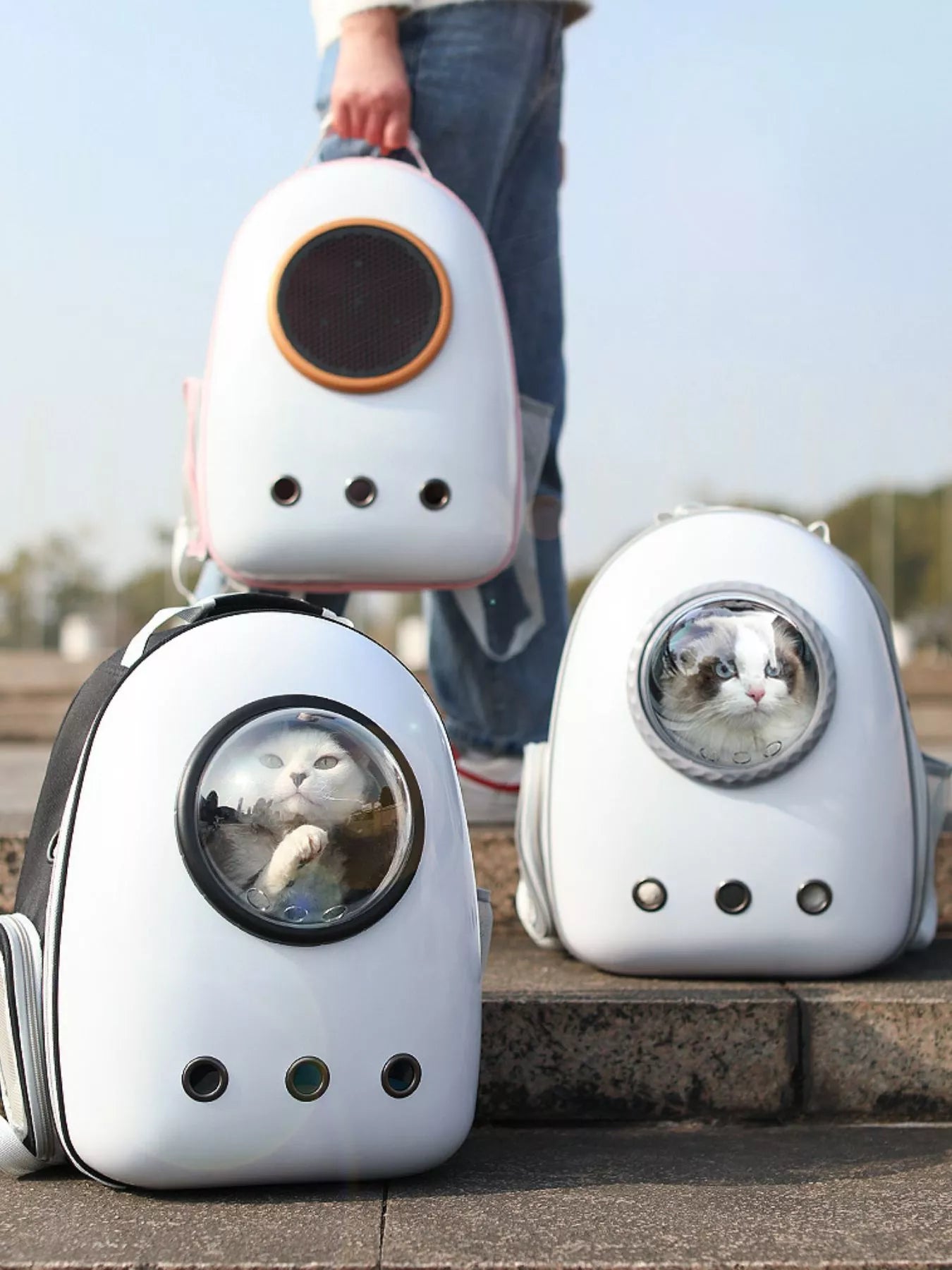 Space Capsule Transparent Pet Carrier Backpack - Loving It Shop