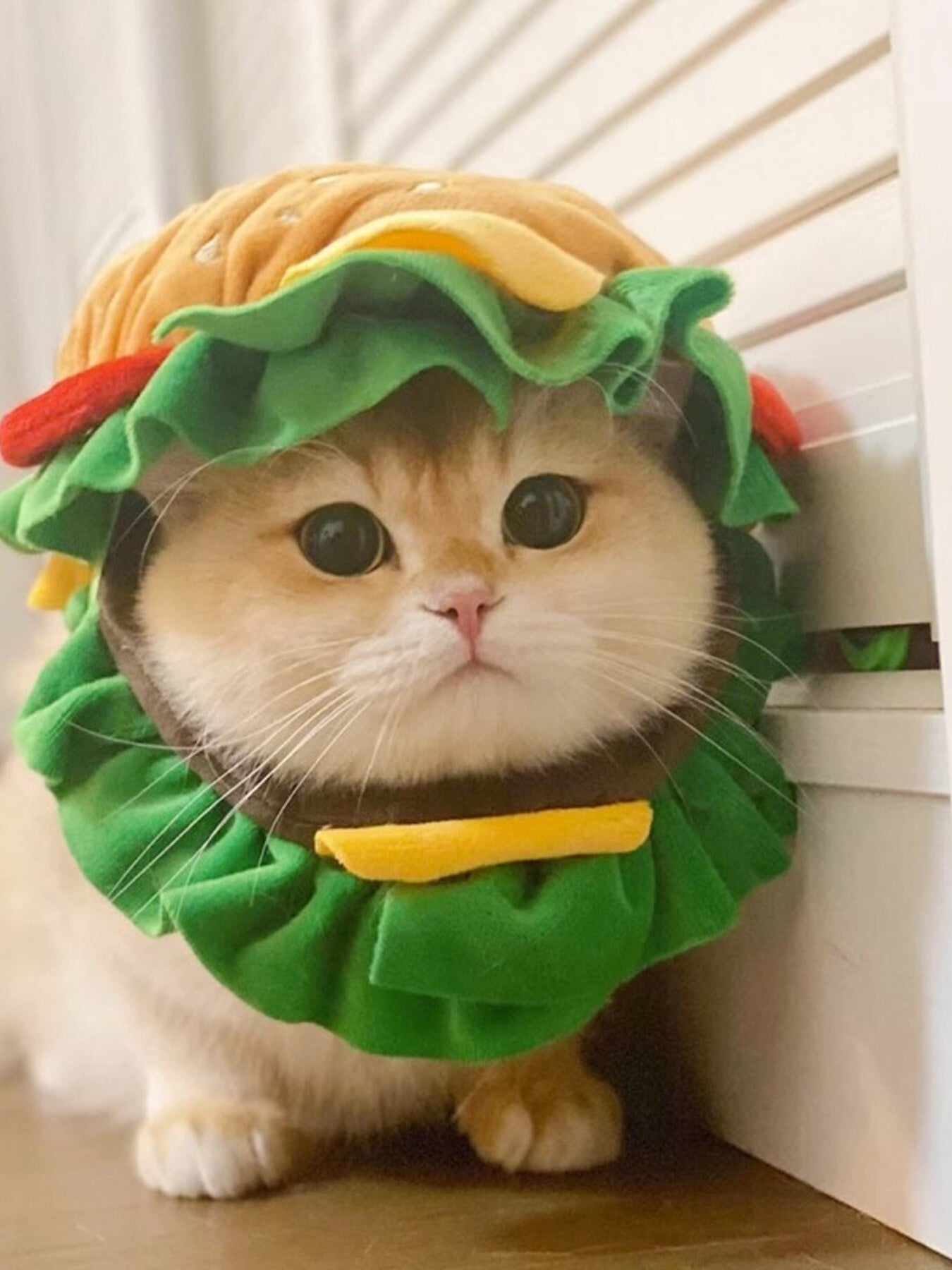 Hamburger Style Pet Headwear - Loving It Shop