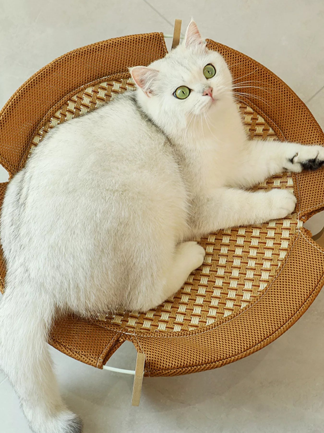 Round Woven Elevated Pet Bed - Loving It Shop