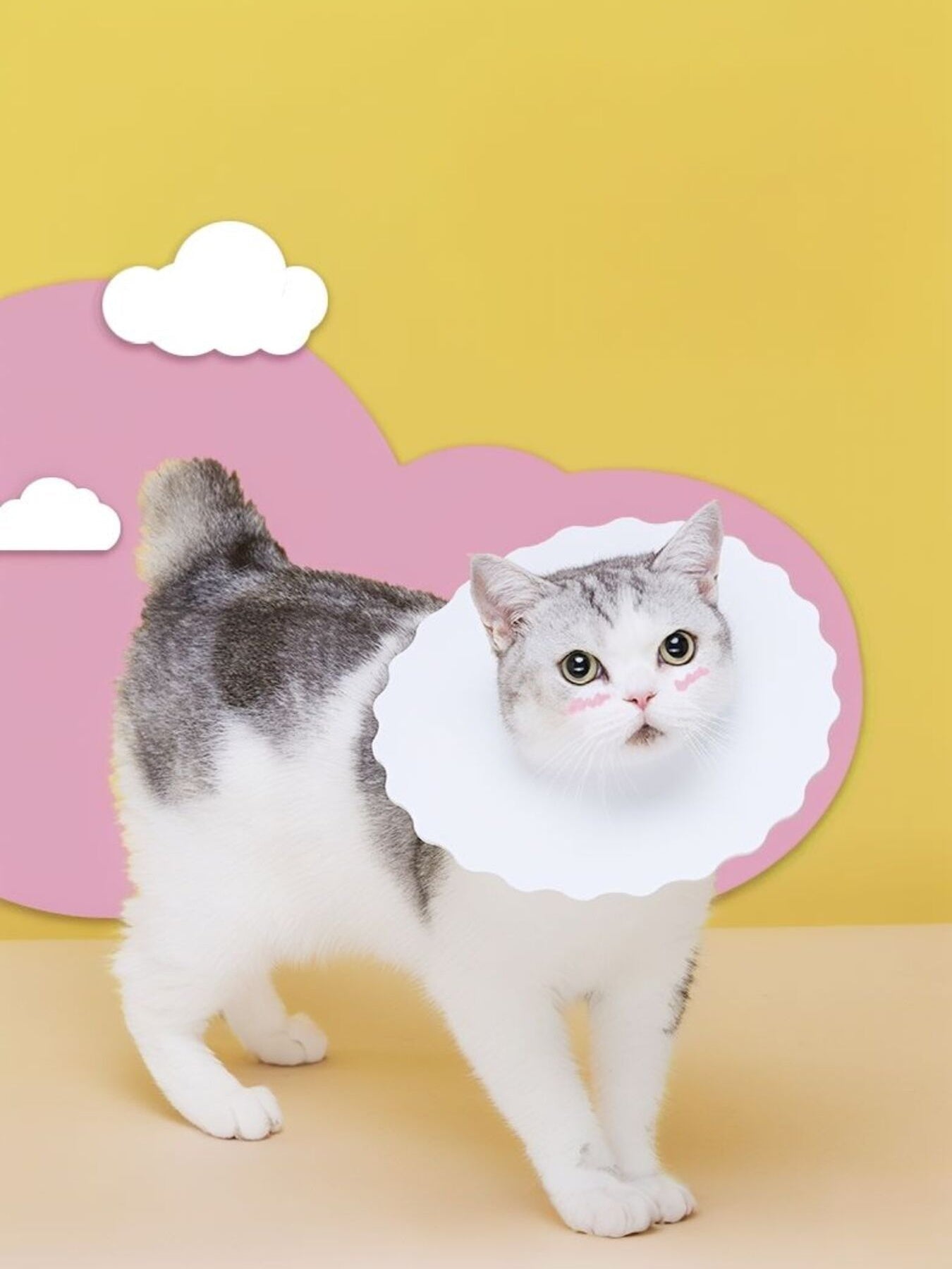 Soft Edge Pet Collar - Loving It Shop