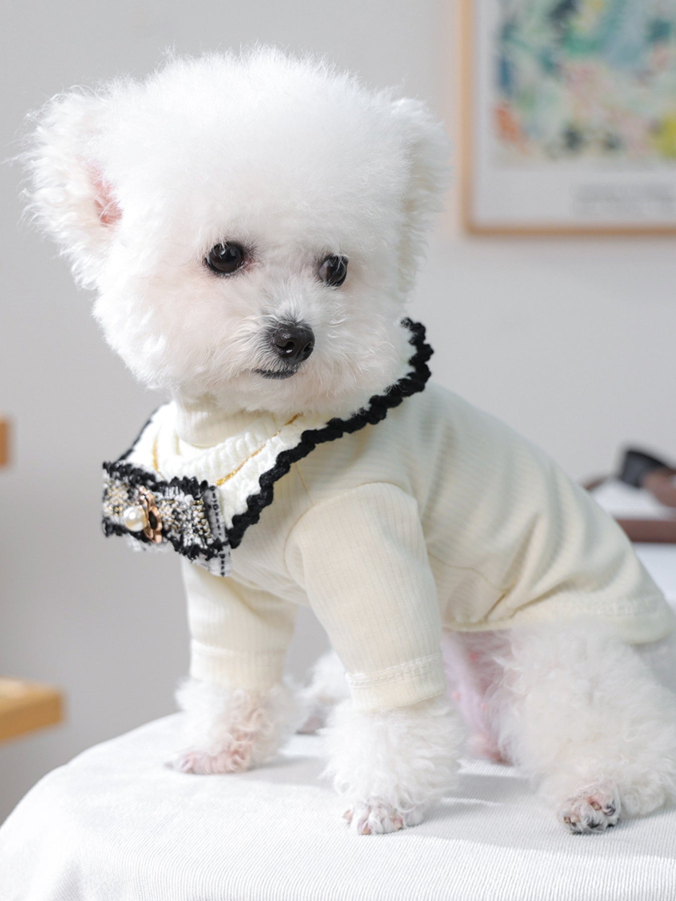 Contrast Pet Scarf - Loving It Shop