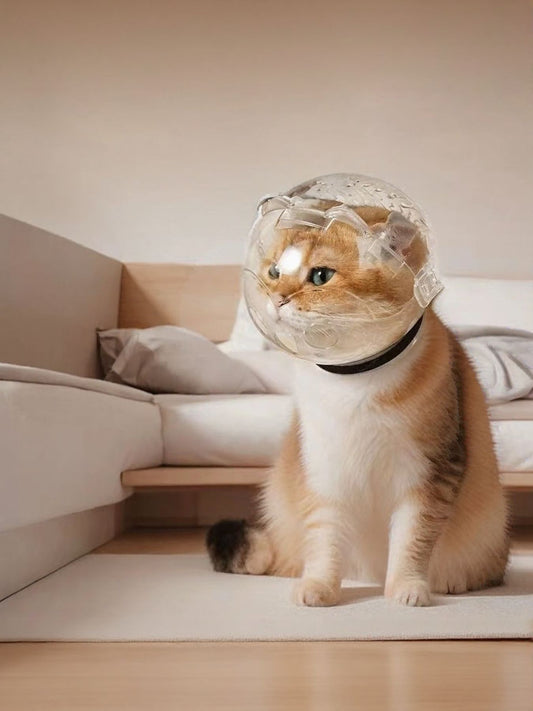 Transparent Anti - Bite Pet Spherical Head Cover - Loving It Shop