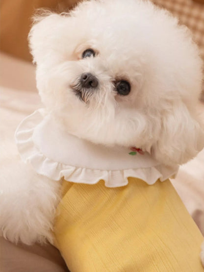 Button - Down Pet Jumpsuit with Ruffle Collar - Loving It Shop