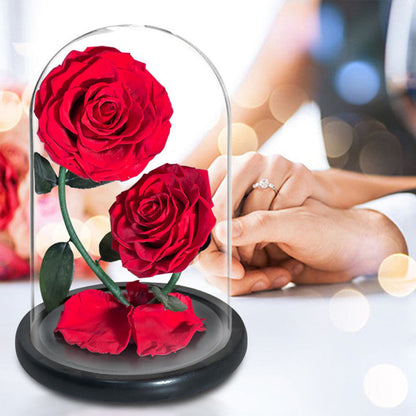 Double Preserved Flower Rose Valentine&