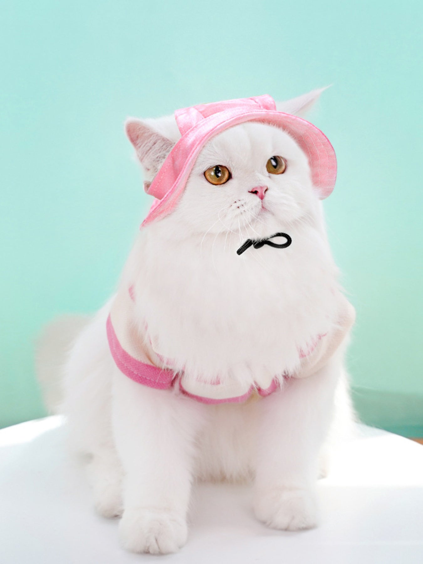 Adjustable Pet Visor Hat - Loving It Shop