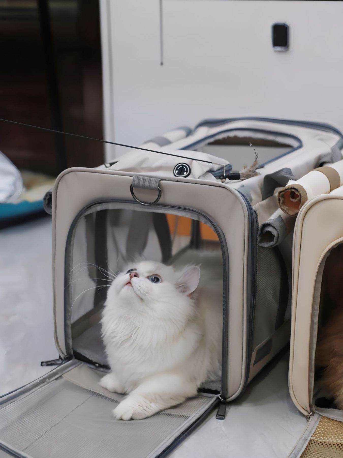 Comfortable Breathable Pet Carrier Bag - Loving It Shop