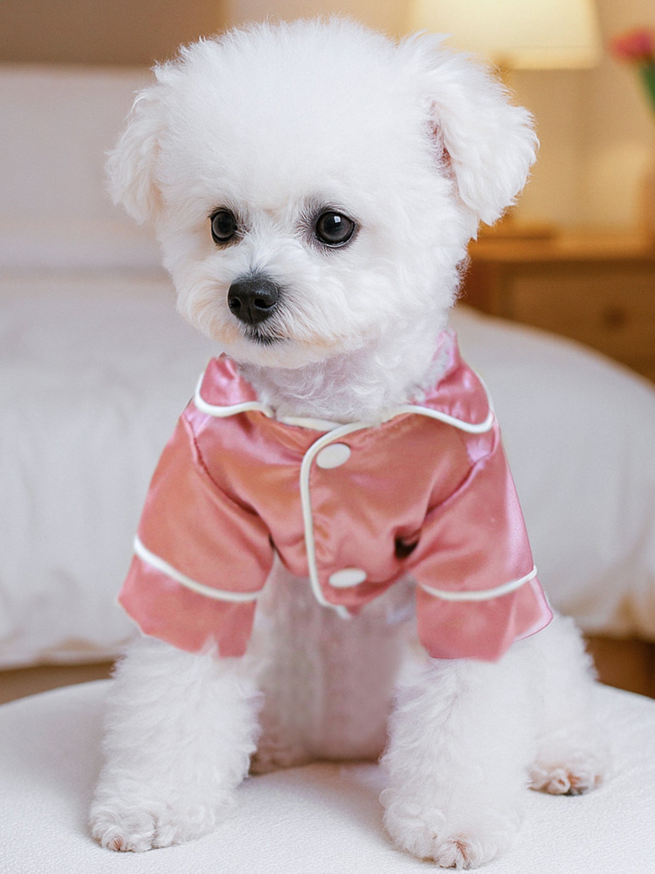 Satin Pet Pajamas with Contrast Piping - Loving It Shop