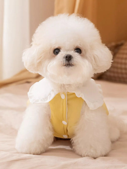 Button - Down Pet Jumpsuit with Ruffle Collar - Loving It Shop