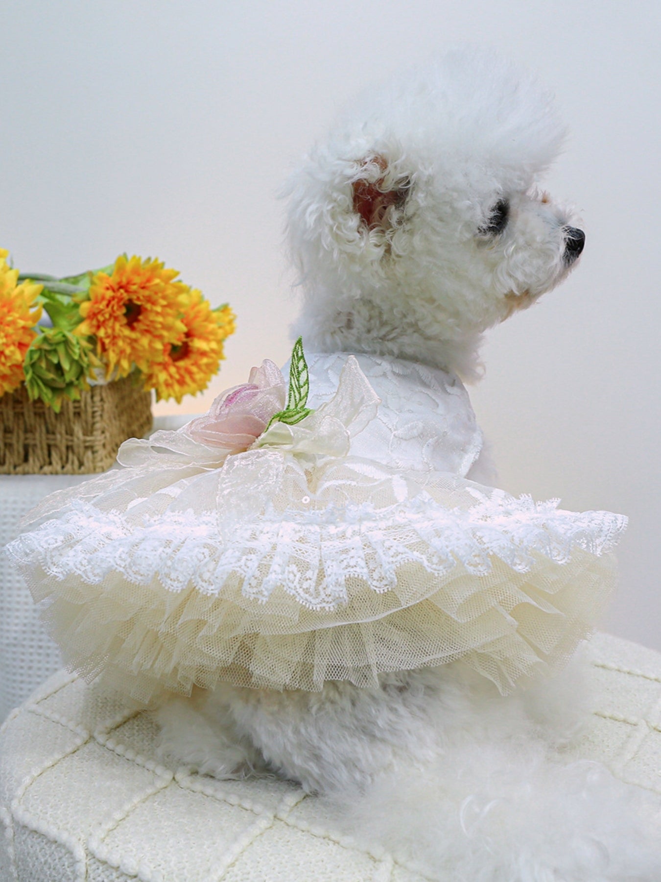 Ruffled Lace Pet Dress - Loving It Shop