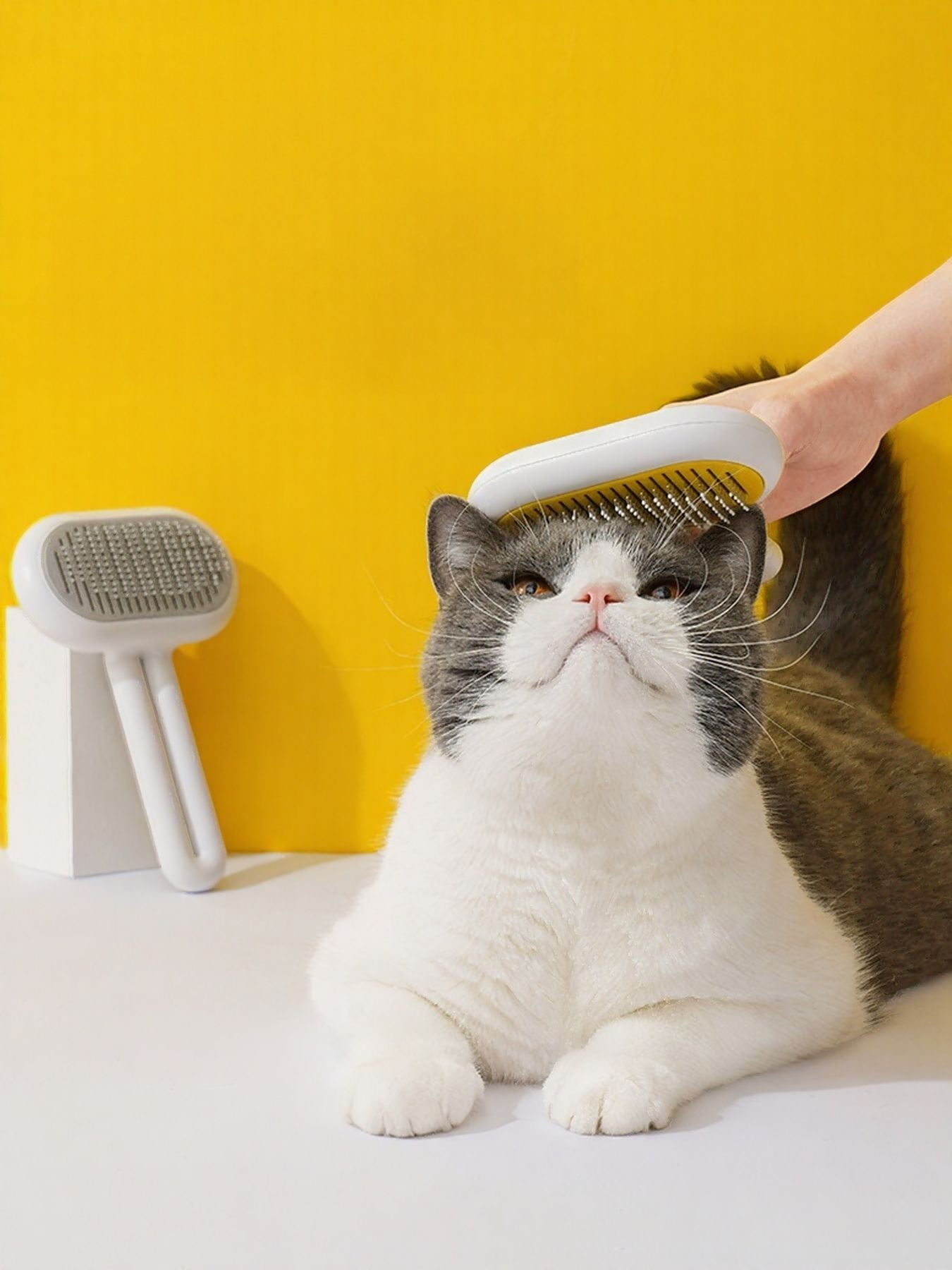 Portable Pet Hair Remover Brush - Loving It Shop