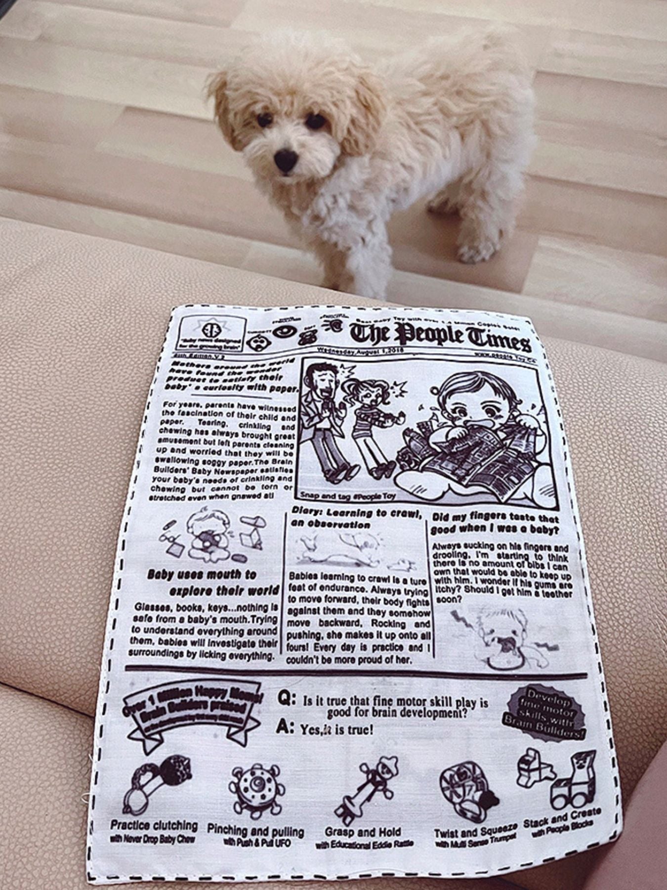 Newspaper Style Pet Sound Toy - Loving It Shop