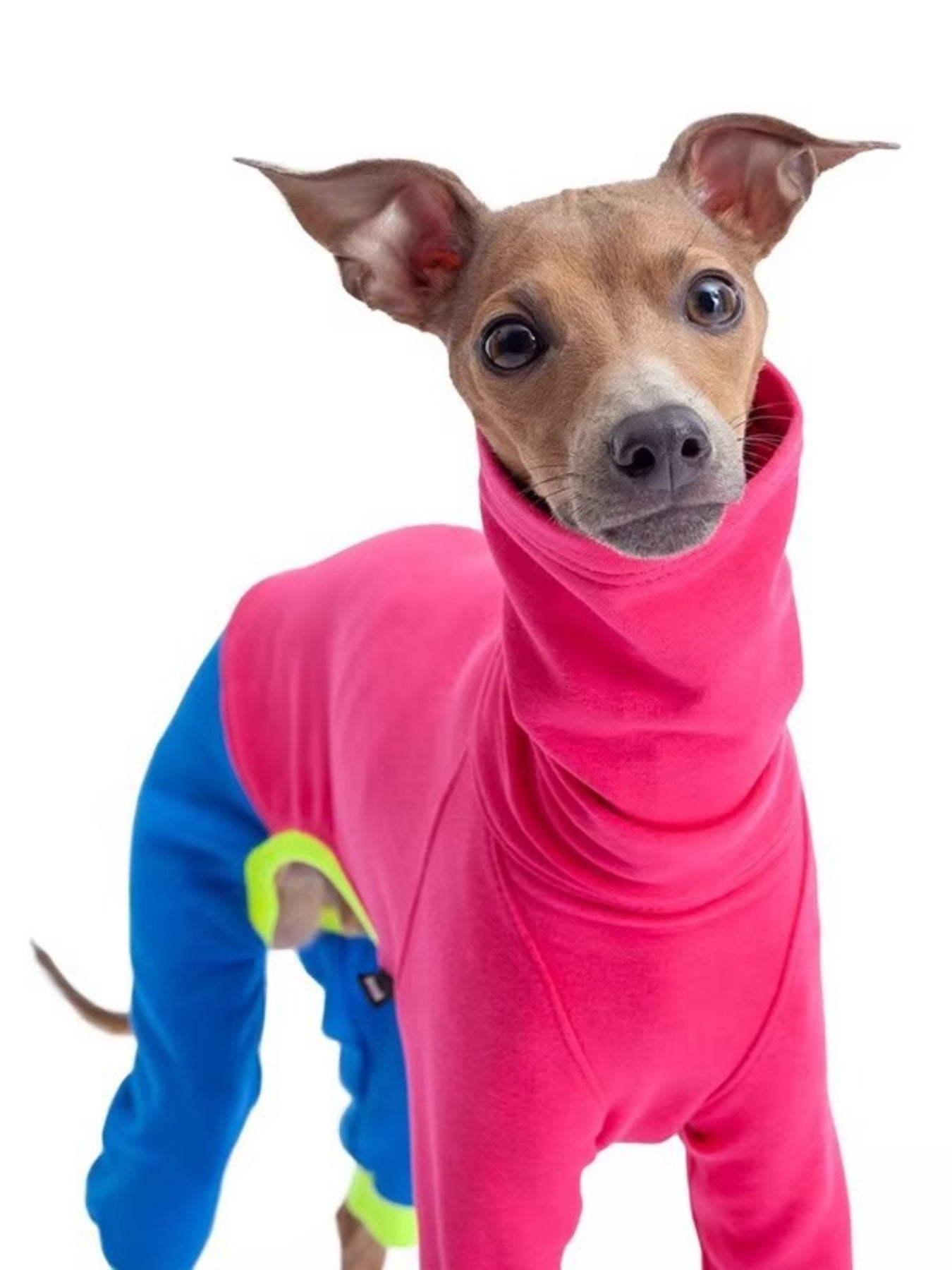 Full Size Color Block Turtleneck Pet Jumpsuits Plus Size - Loving It Shop