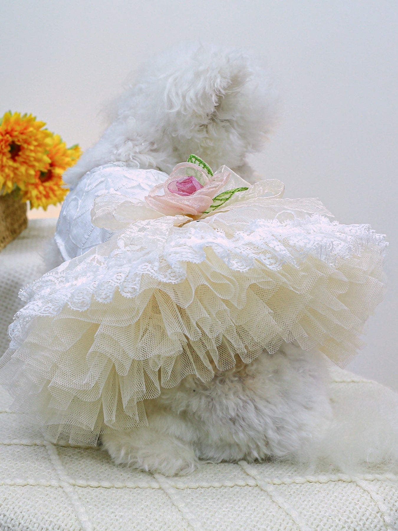 Ruffled Lace Pet Dress - Loving It Shop