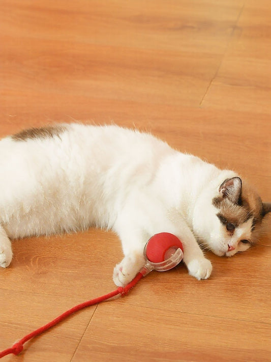 Interactive Ball Cat Sound Toy with Rope - Loving It Shop
