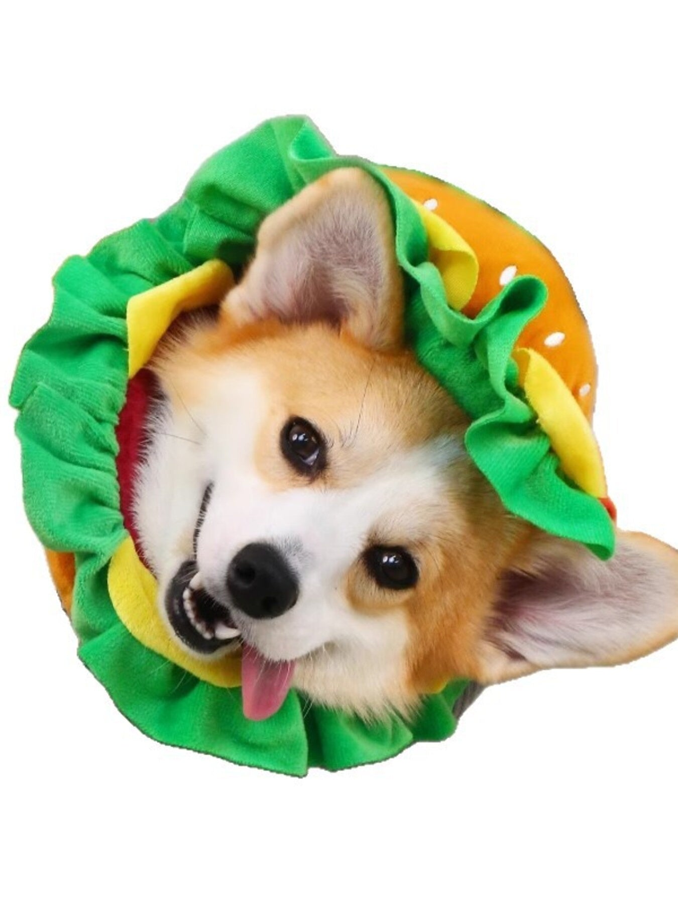 Hamburger Style Pet Headwear - Loving It Shop