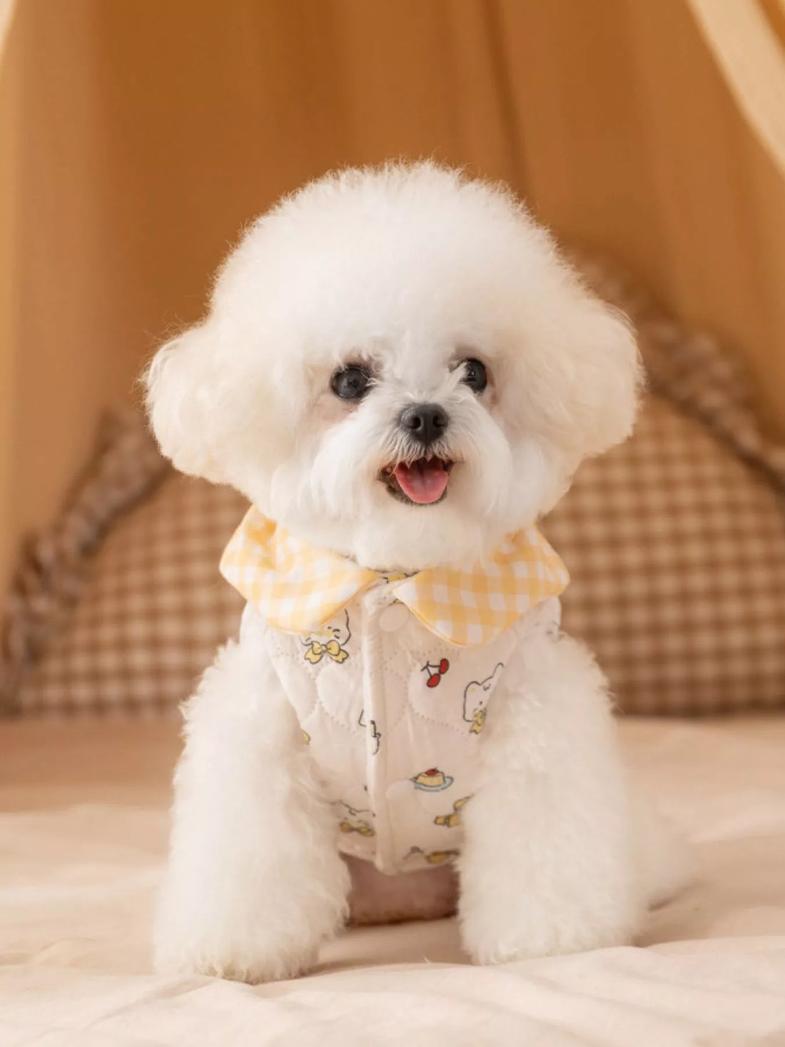 Cute Cartoon Print Padded Pet Jacket with Gingham Collar - Loving It Shop