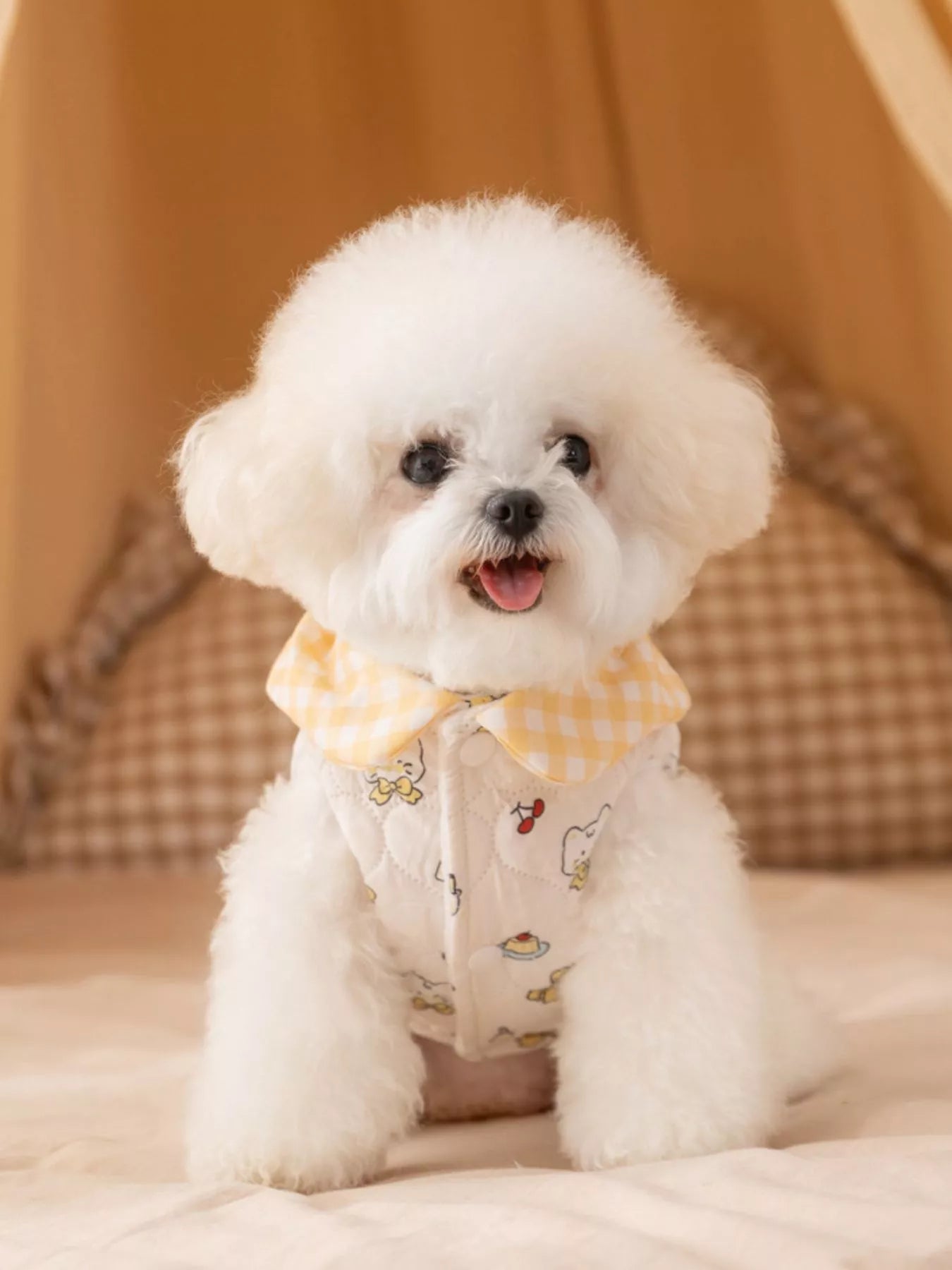 Cute Cartoon Print Padded Pet Jacket with Gingham Collar - Loving It Shop