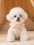 Cute Cartoon Print Padded Pet Jacket with Gingham Collar - Loving It Shop