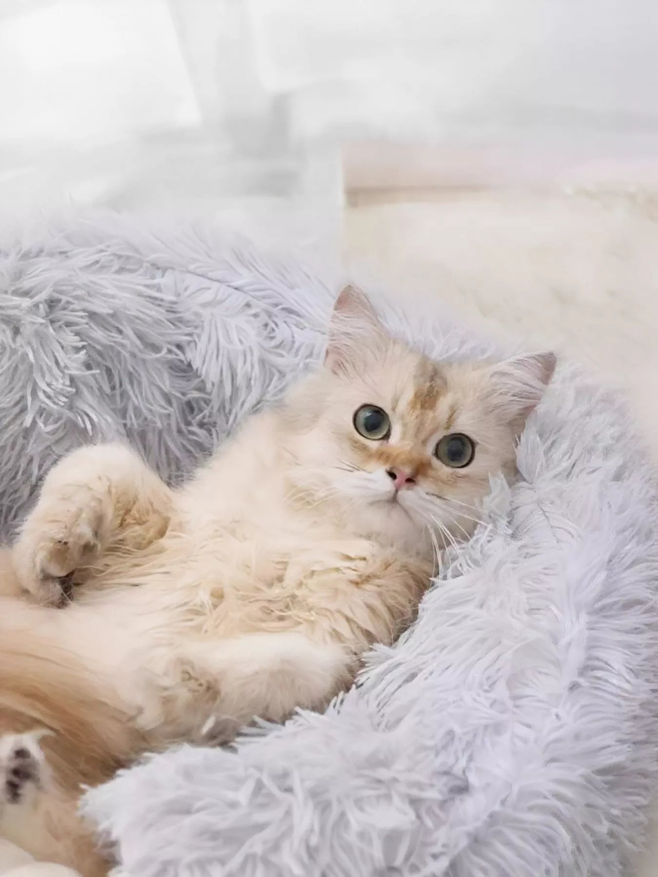 Round Plush Calming Pet Nest - Loving It Shop