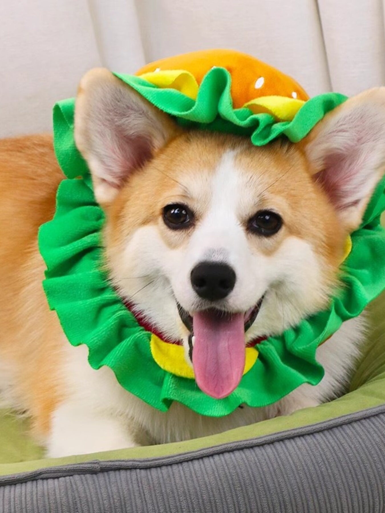 Hamburger Style Pet Headwear - Loving It Shop