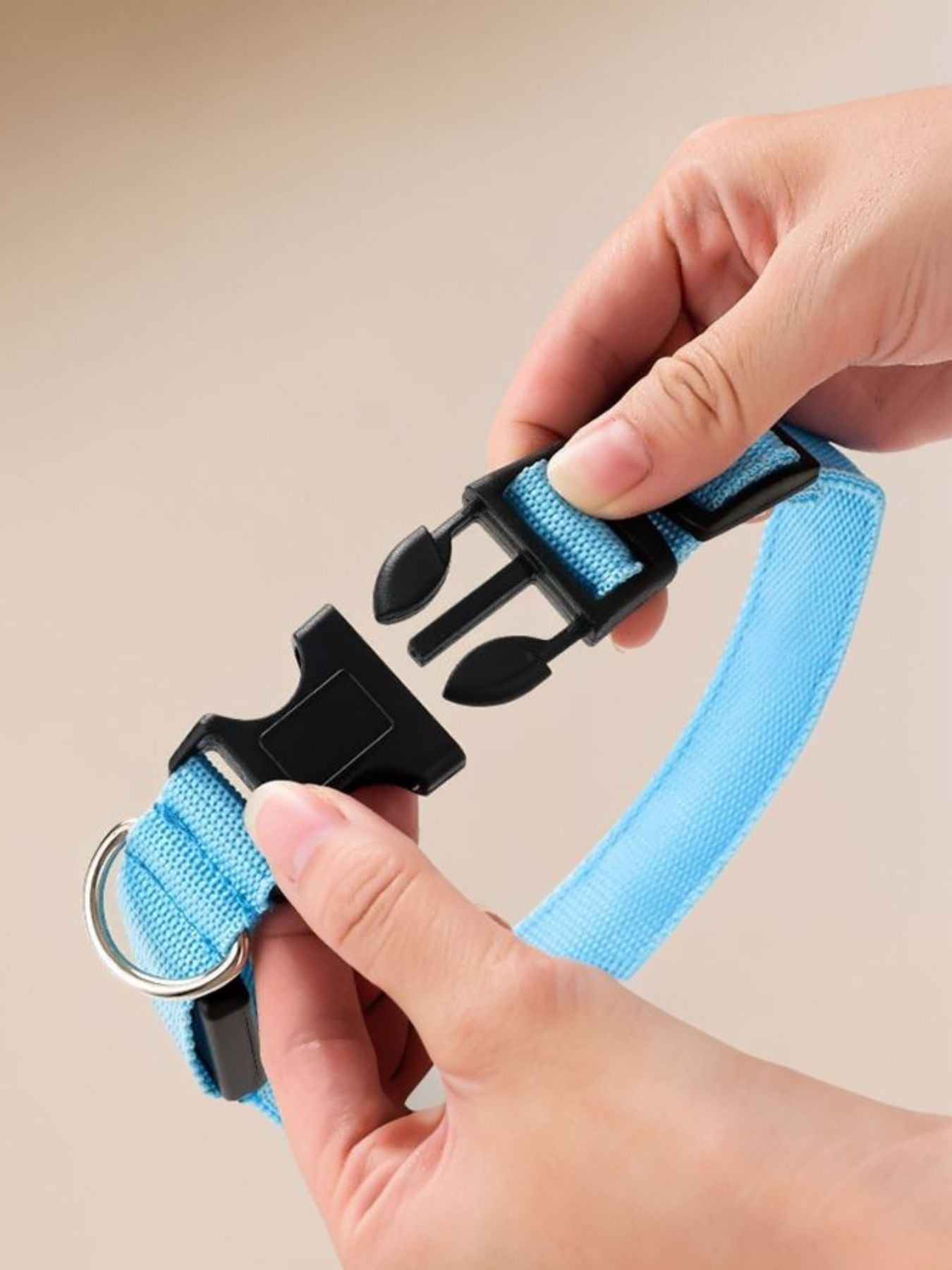 LED Glowing Pet Collar for Night Safety - Loving It Shop