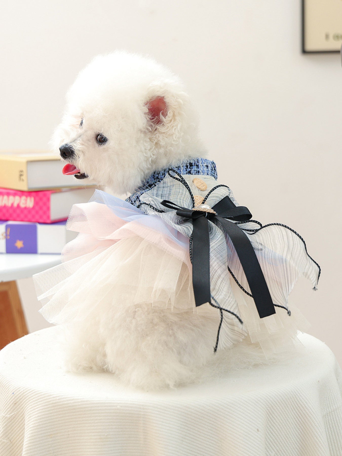 Tweed Pet Dress with Ruffle - Loving It Shop