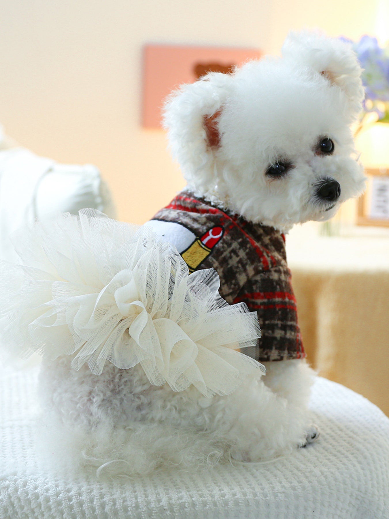 Pearl Collar Pet Dress - Loving It Shop