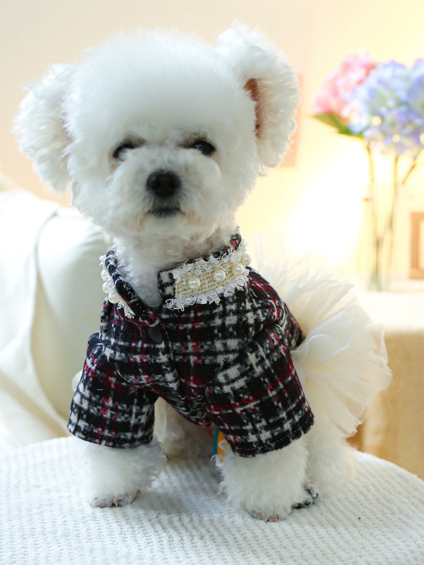 Pearl Collar Pet Dress - Loving It Shop