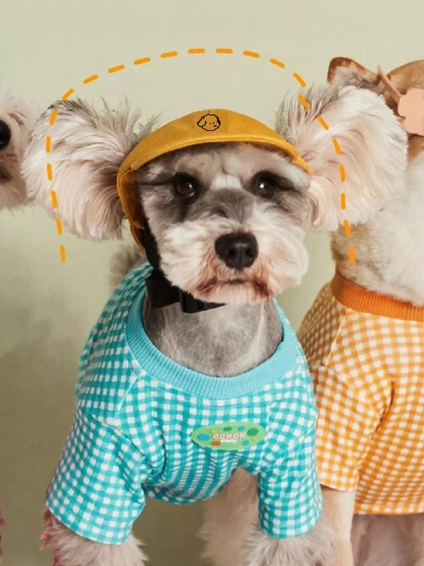 Embroidered Pet Baseball Cap - Loving It Shop