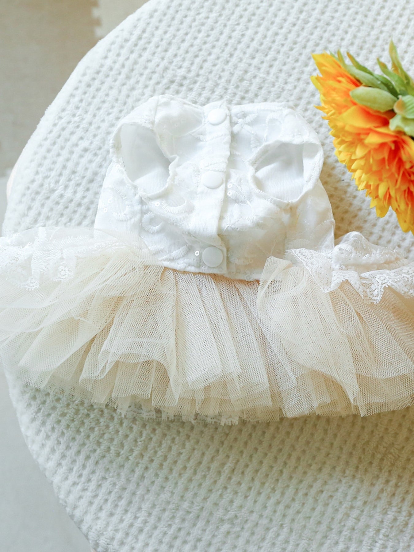 Ruffled Lace Pet Dress - Loving It Shop
