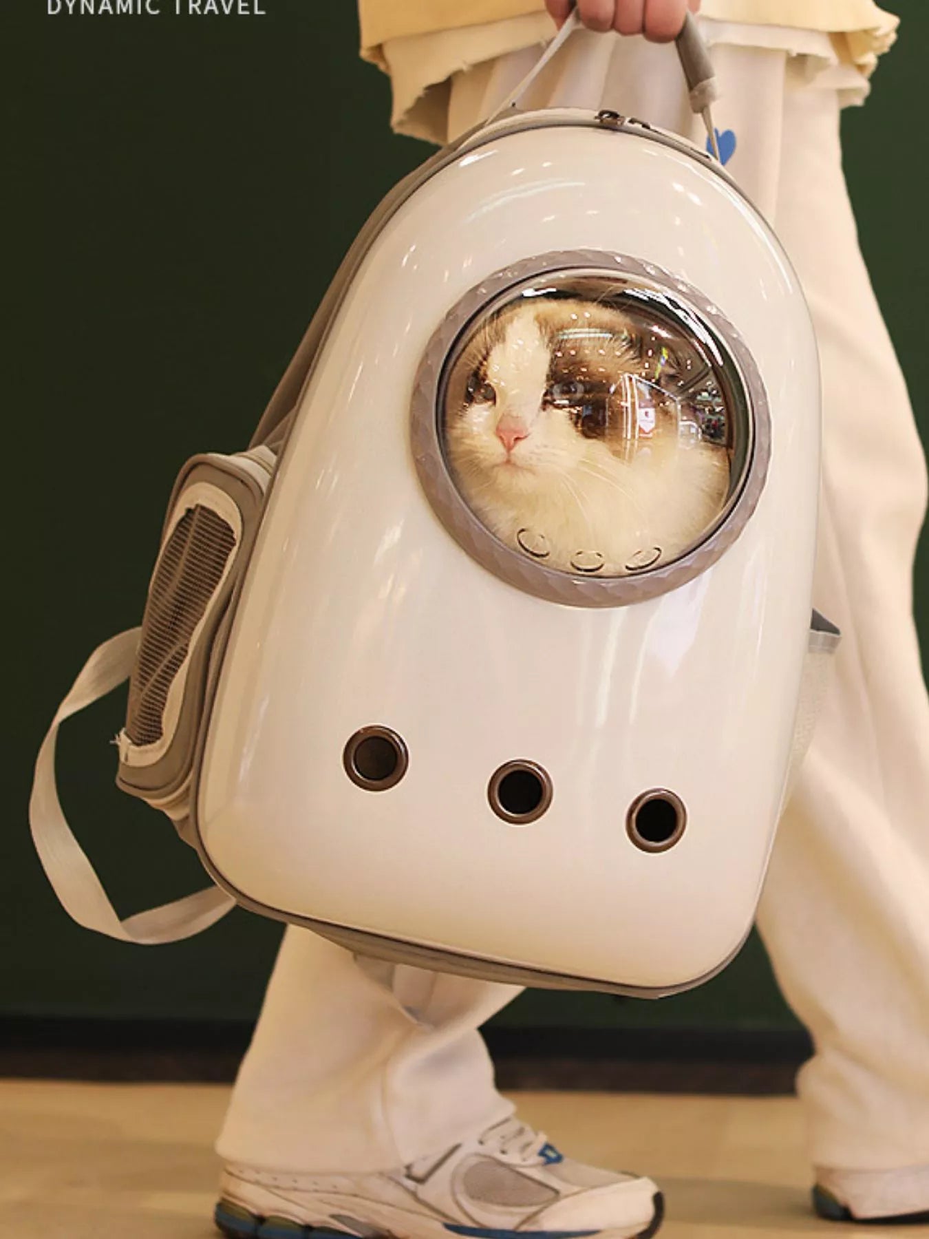 Space Capsule Transparent Pet Carrier Backpack - Loving It Shop