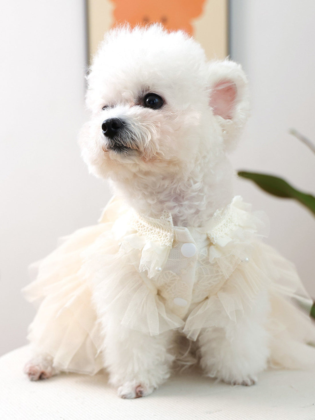 Bow Tulle Ruffle Pet Dress - Loving It Shop