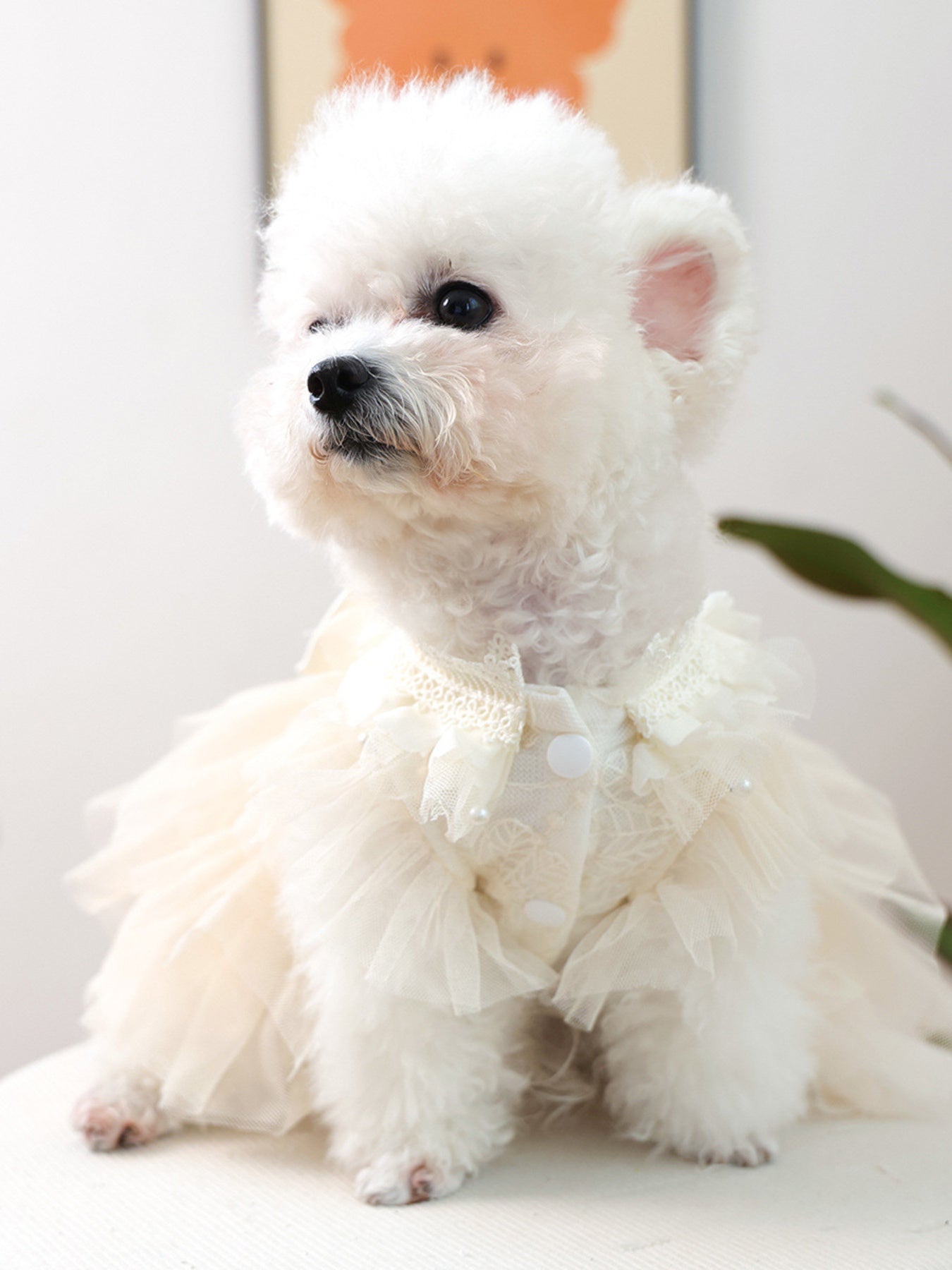 Bow Tulle Ruffle Pet Dress - Loving It Shop