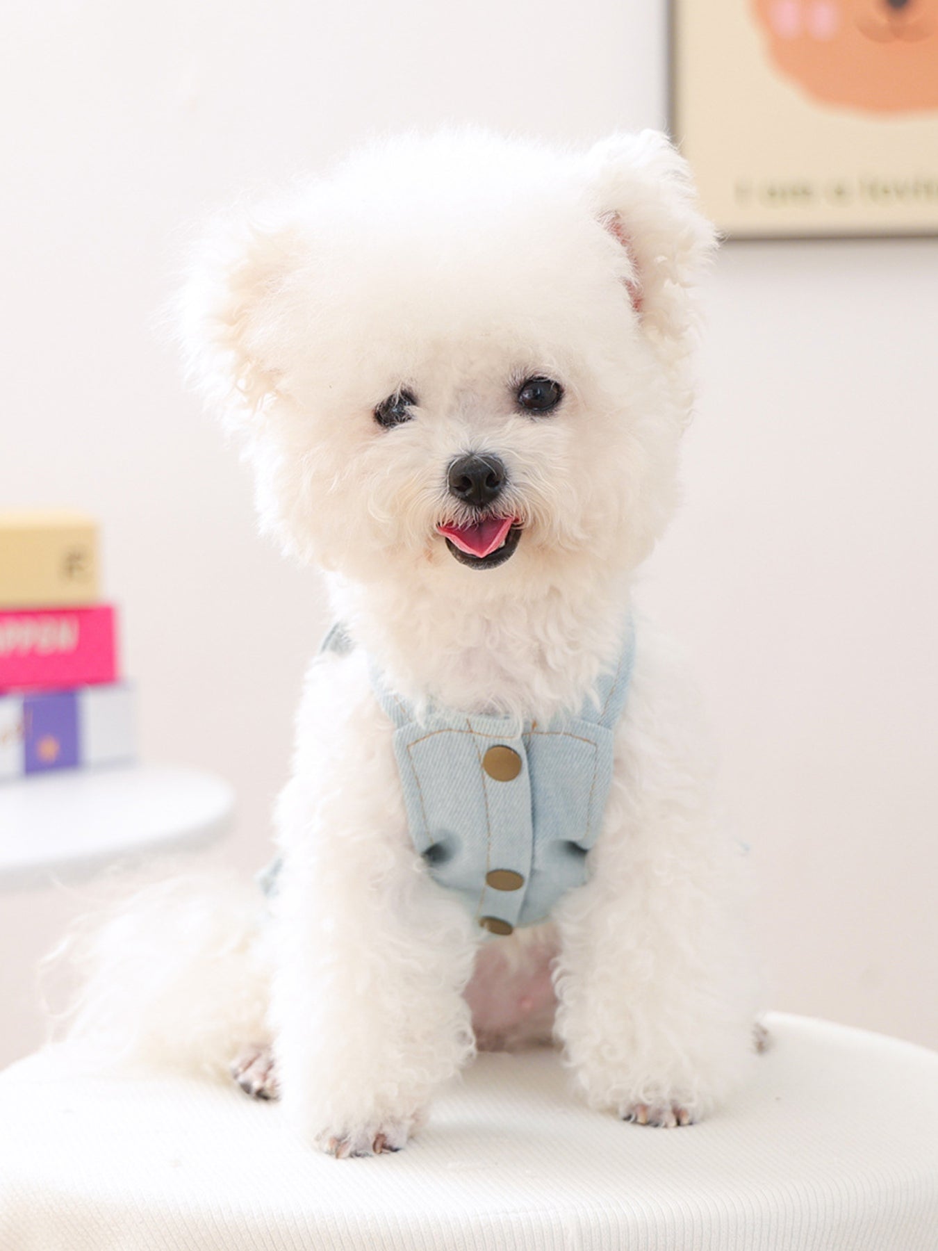 Denim Lace - Up Ruffle Pet Dress - Loving It Shop