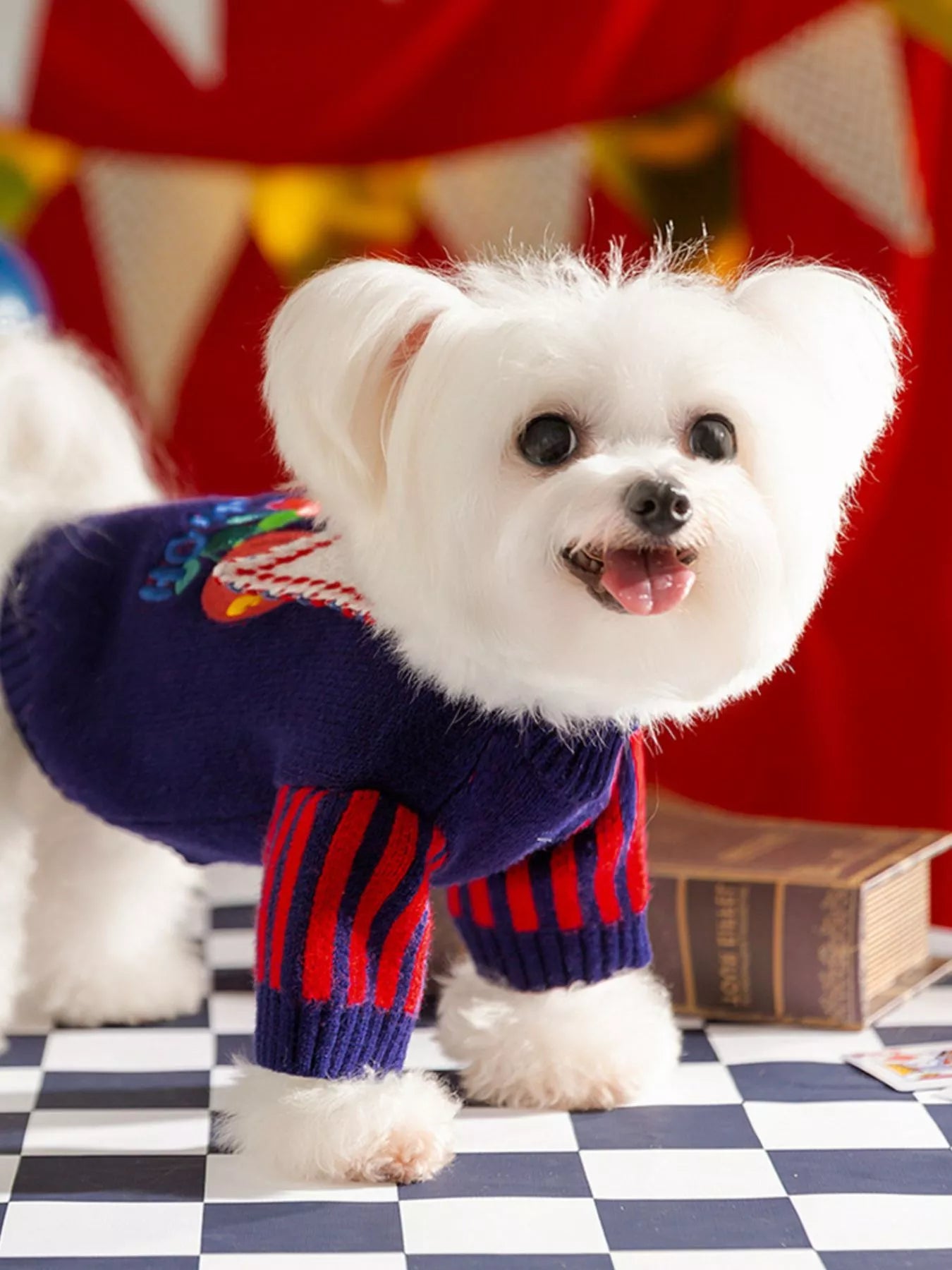 Ribbed Knit Pet Sweaters - Loving It Shop